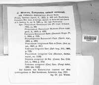 Fabraea ranunculi image